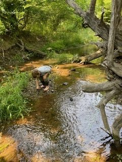 Elopement. And not the romantic kind.