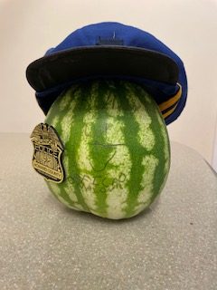 Expect the Unexpected