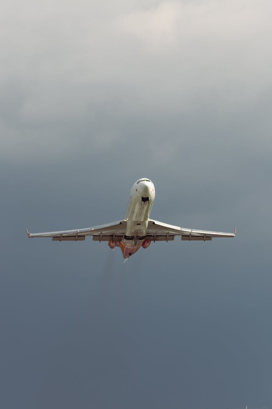 Taking This Show International